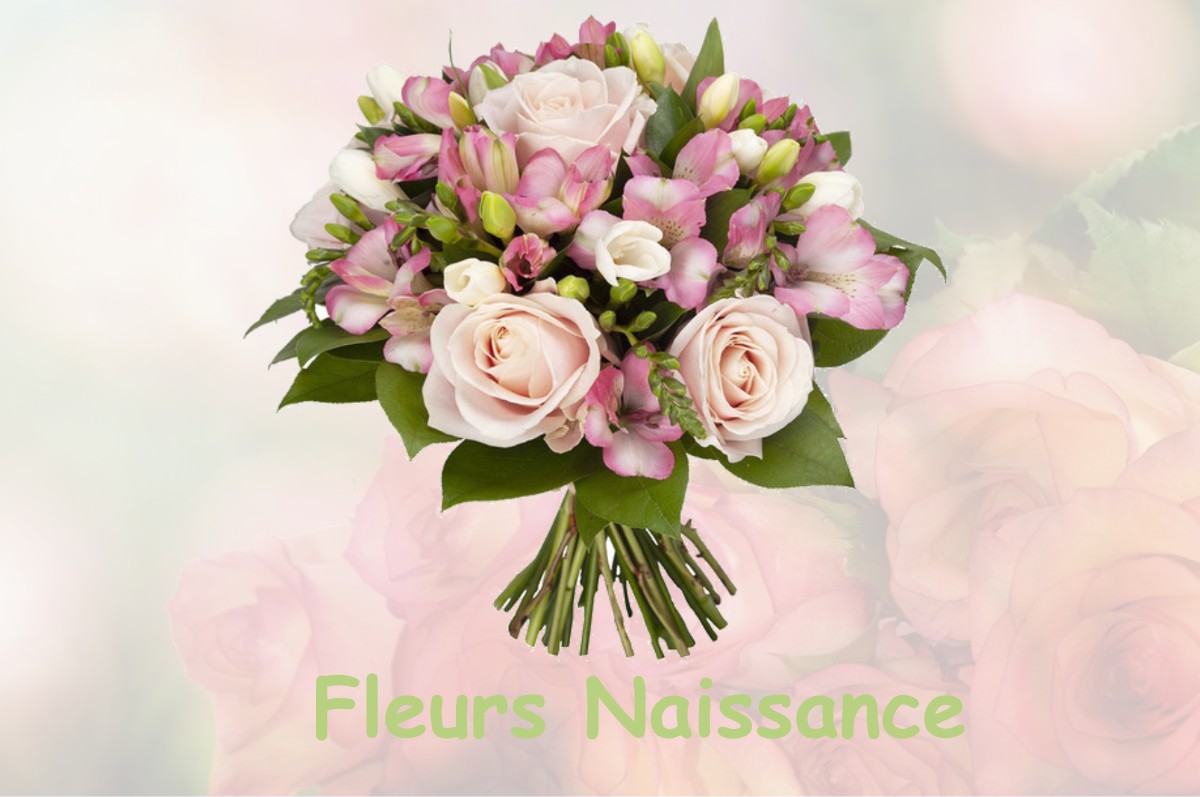 fleurs naissance PINS-JUSTARET