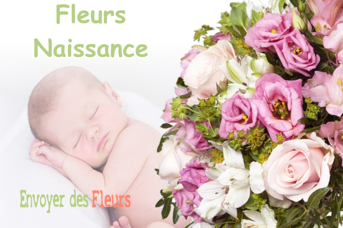 lIVRAISON FLEURS NAISSANCE à PINS-JUSTARET